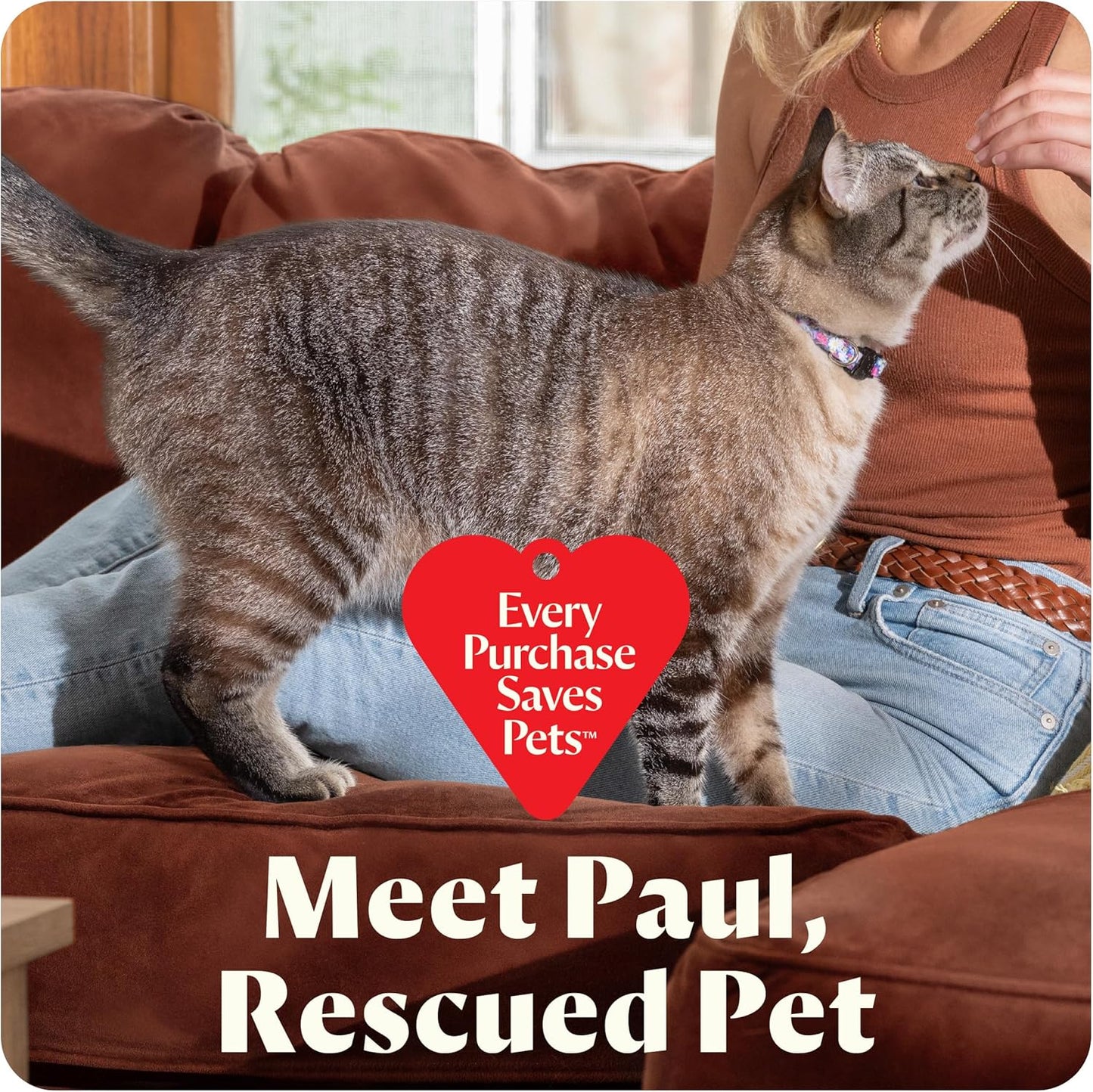 Little Green Mini Portable Carpet and Upholstery Deep Cleaner, Car/Auto Detailer, with Hydrorinse Self-Cleaning Tool and 4" Tough Stain Tool, Limited Edition Color Lake, 4075F