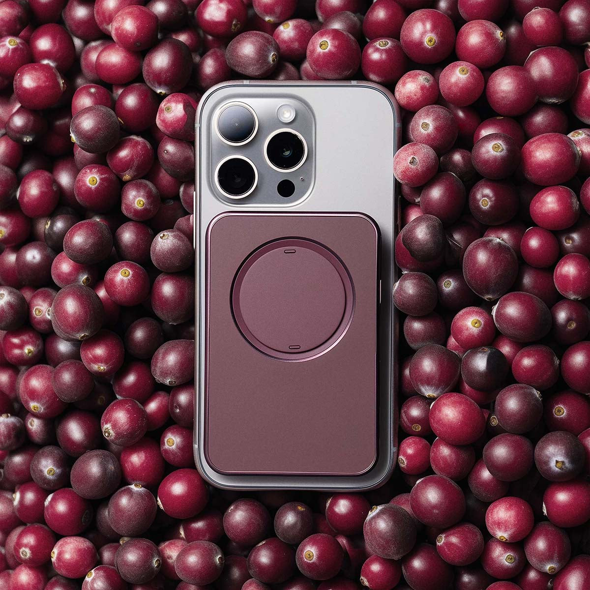 Snap Grip Wallet, Compact